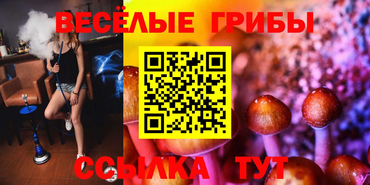 Галлюциногенные грибы Magic Shrooms  Псилоцибиновые грибы прущие грибы  Вход с VPN  Таганрог 